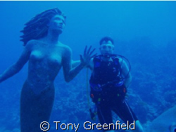 Mermaids do exist by Tony Greenfield 
